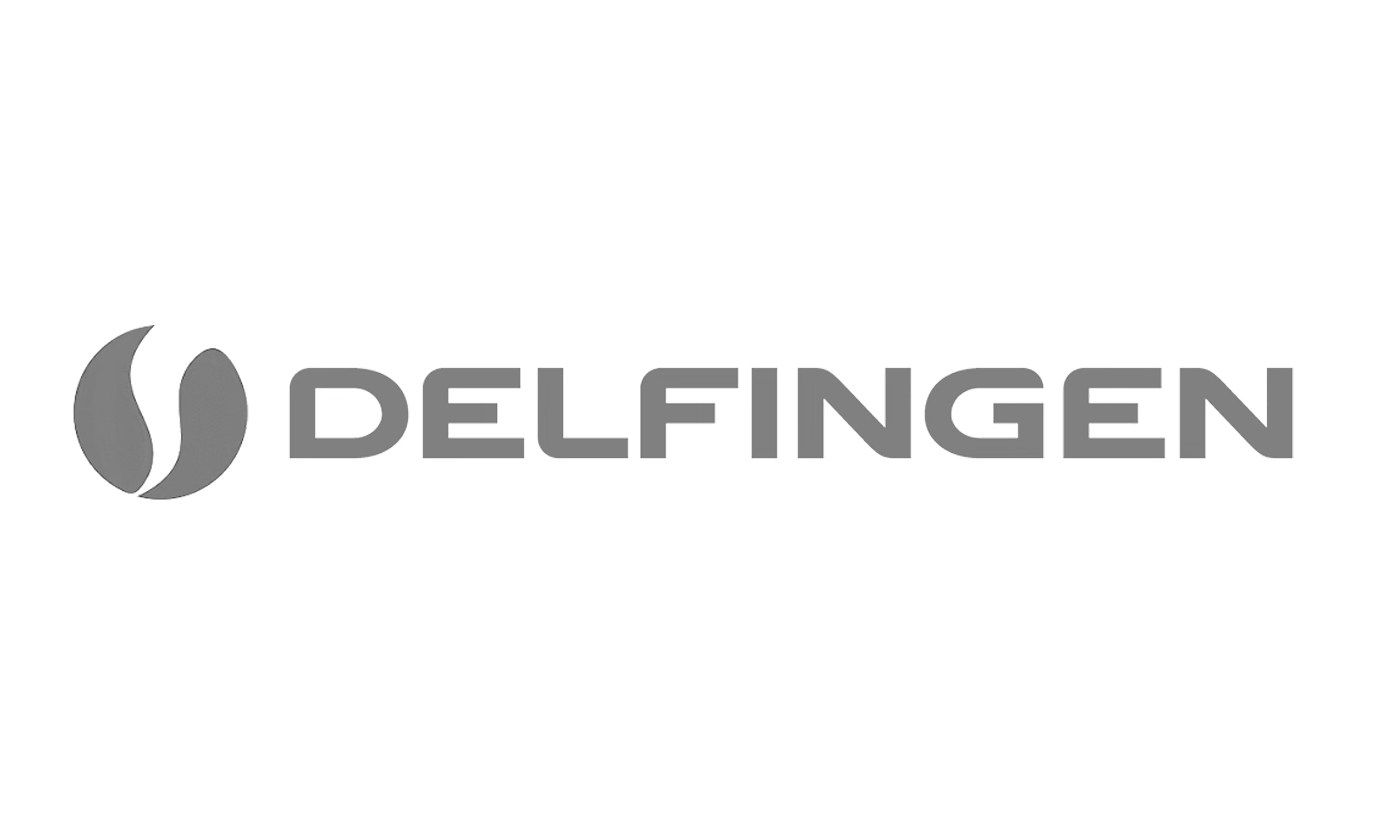 delfingen